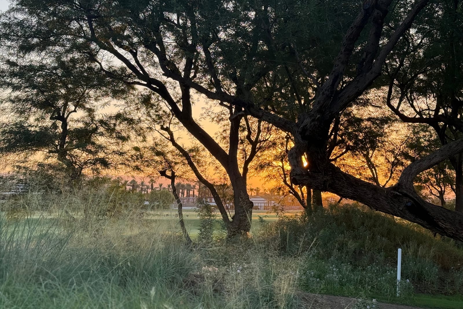 Desert light at Solmirage