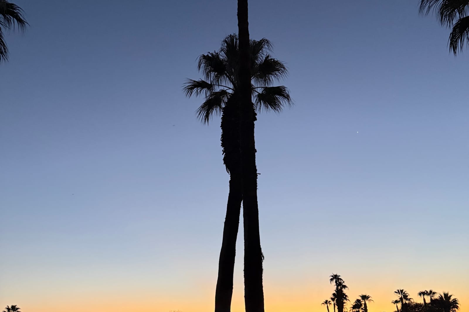 Desert light at Solmirage
