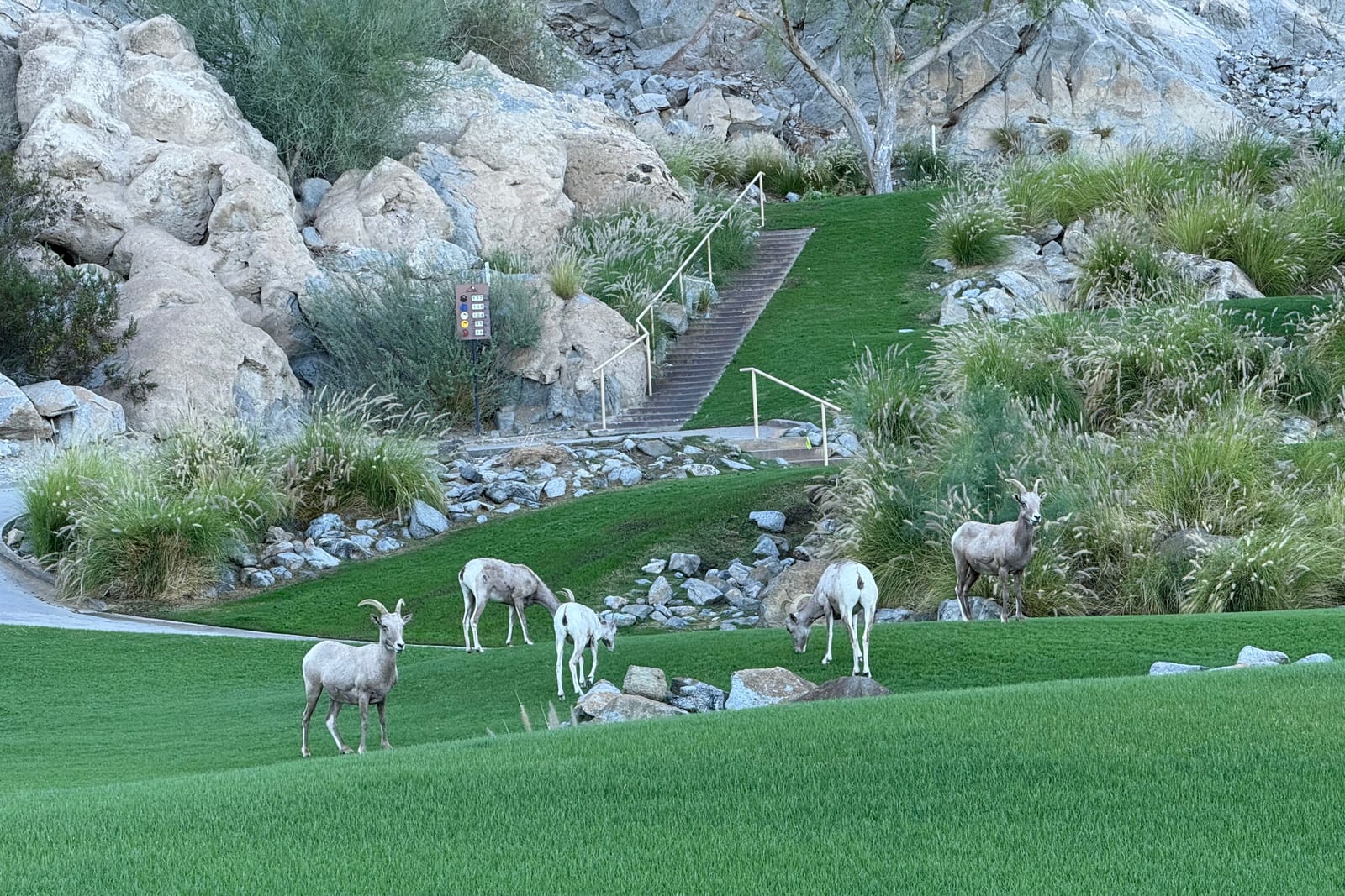 Golf experience at Solmirage