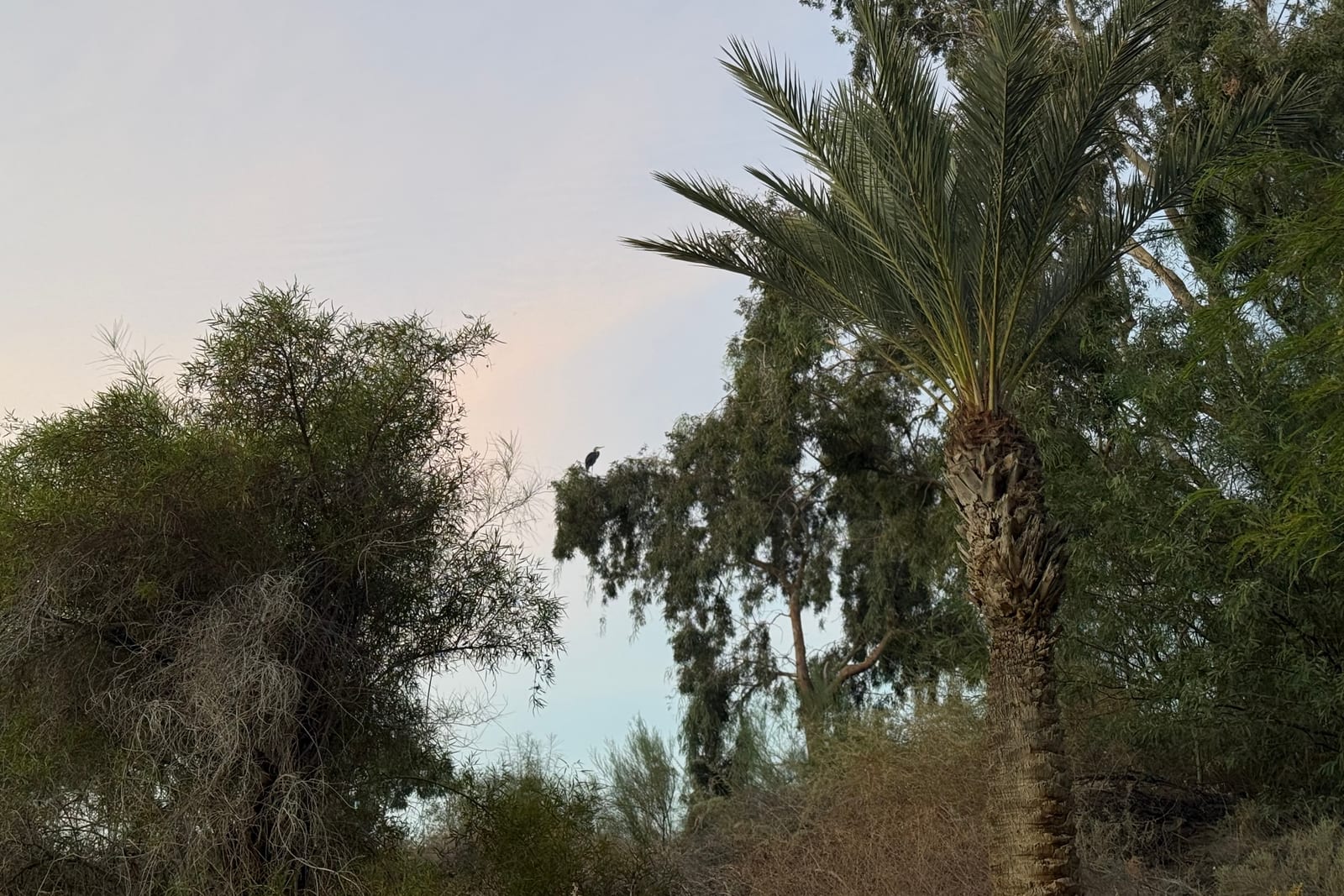 The Setting at Solmirage