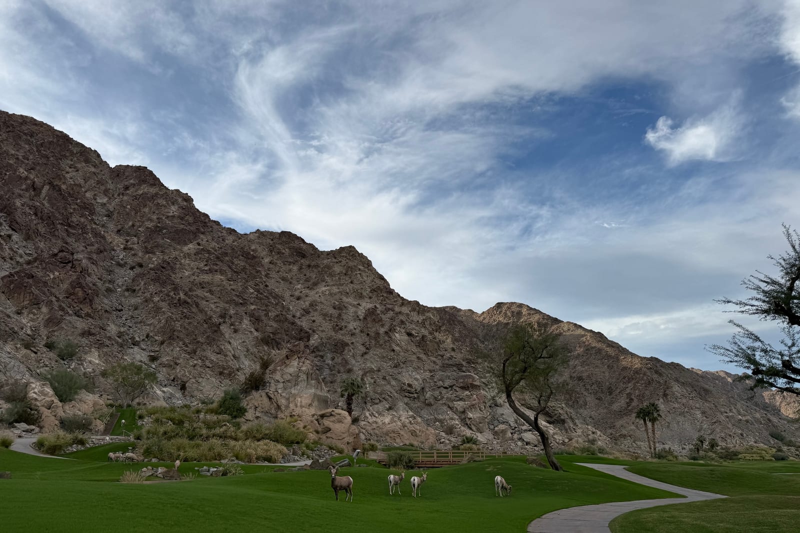 The Setting at Solmirage