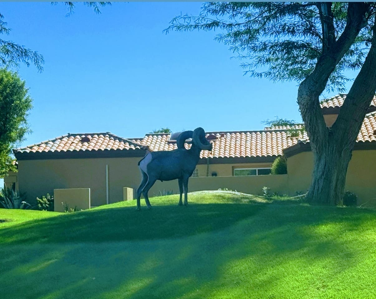 The Setting at Solmirage