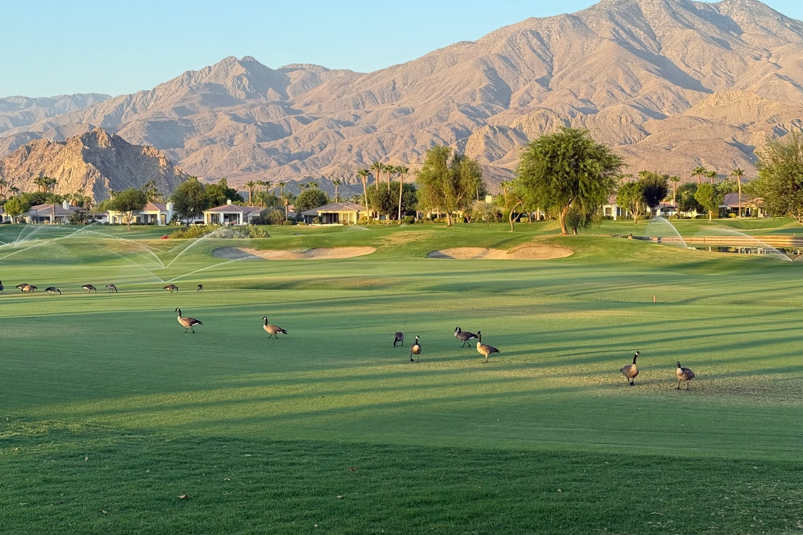 The Setting at Solmirage