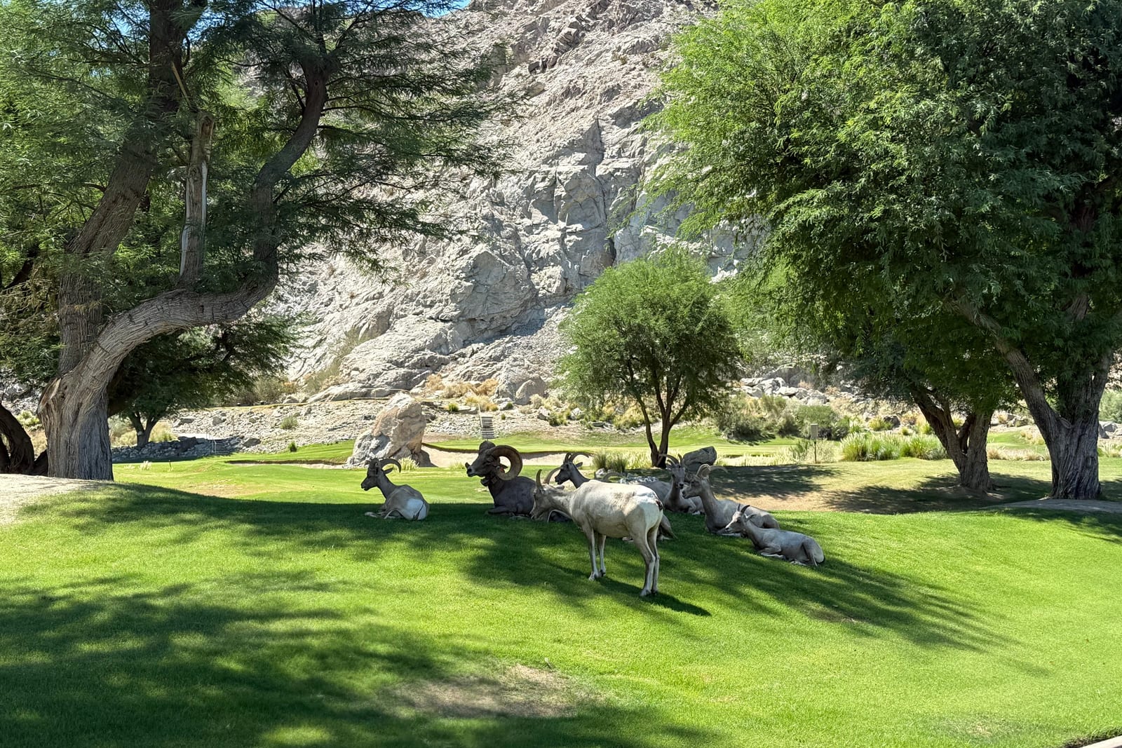 The Setting at Solmirage